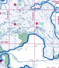 Lake Fork Reservoir Detailed Fishing Map, GPS Points, Waterproof